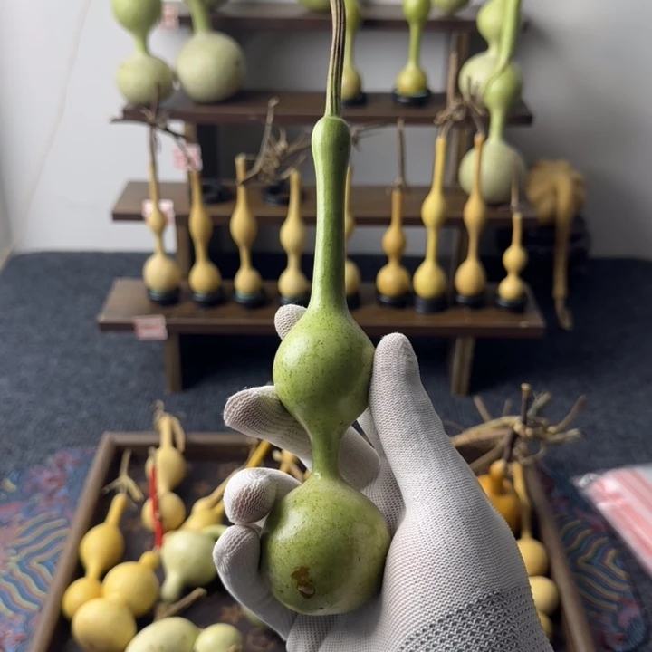 *****大叶紫檀（黑酸枝木类）