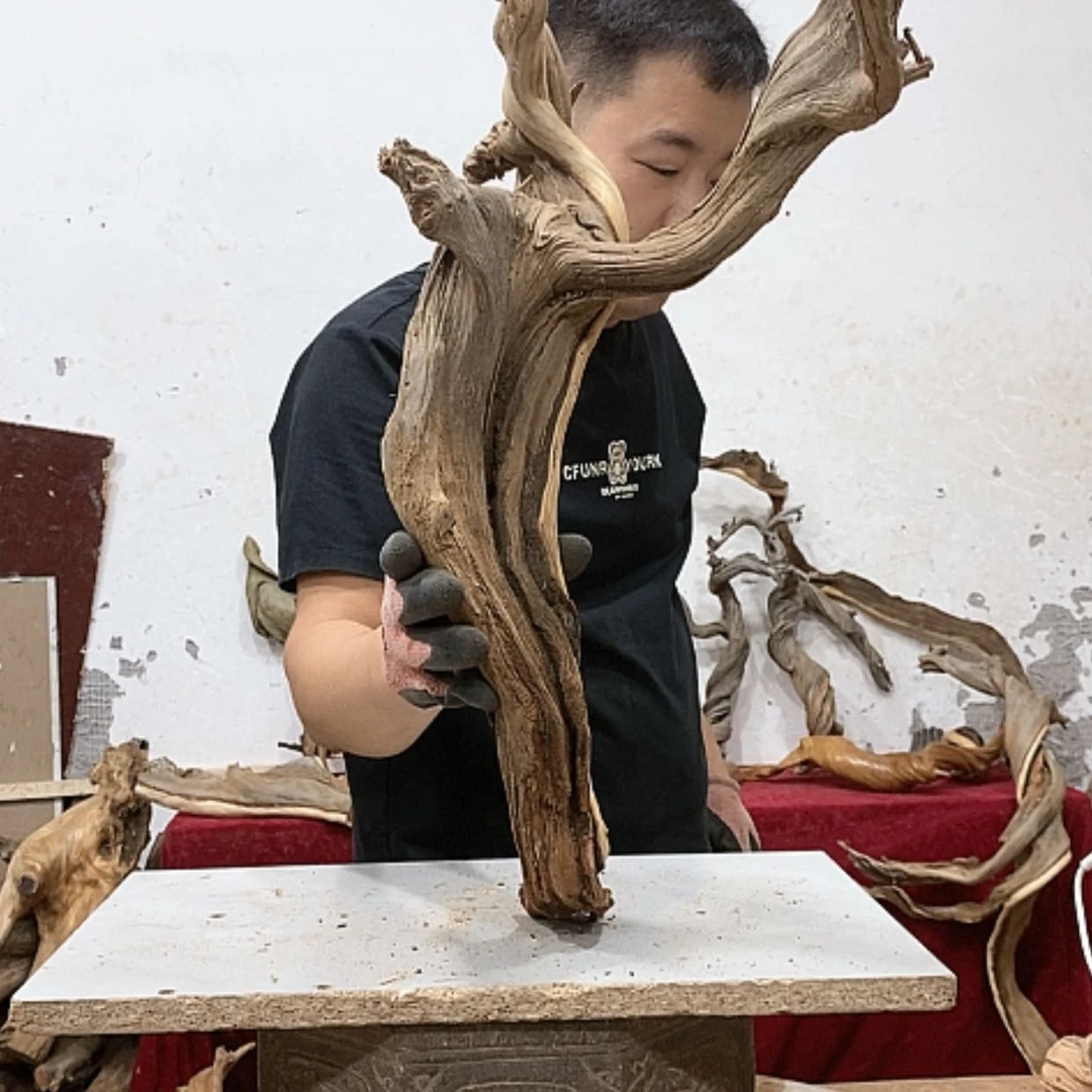 【闪购商品】柏木薄*许我们都是好孩子