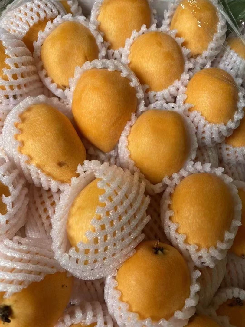 枇杷 1斤装