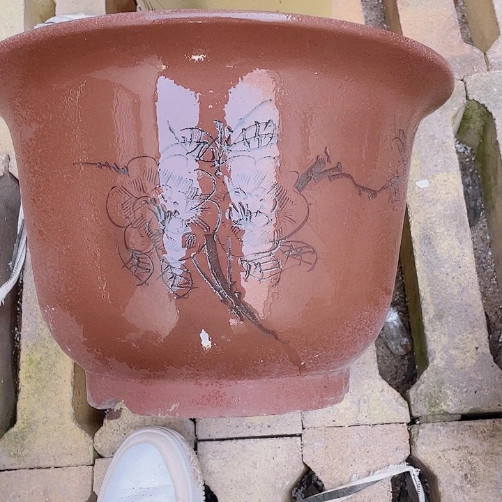 红陶007会议室倨傲花呀