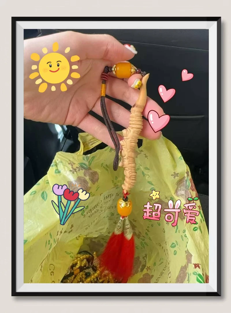 海滋花【0.7~0.8鲜虫草/鱼胶】