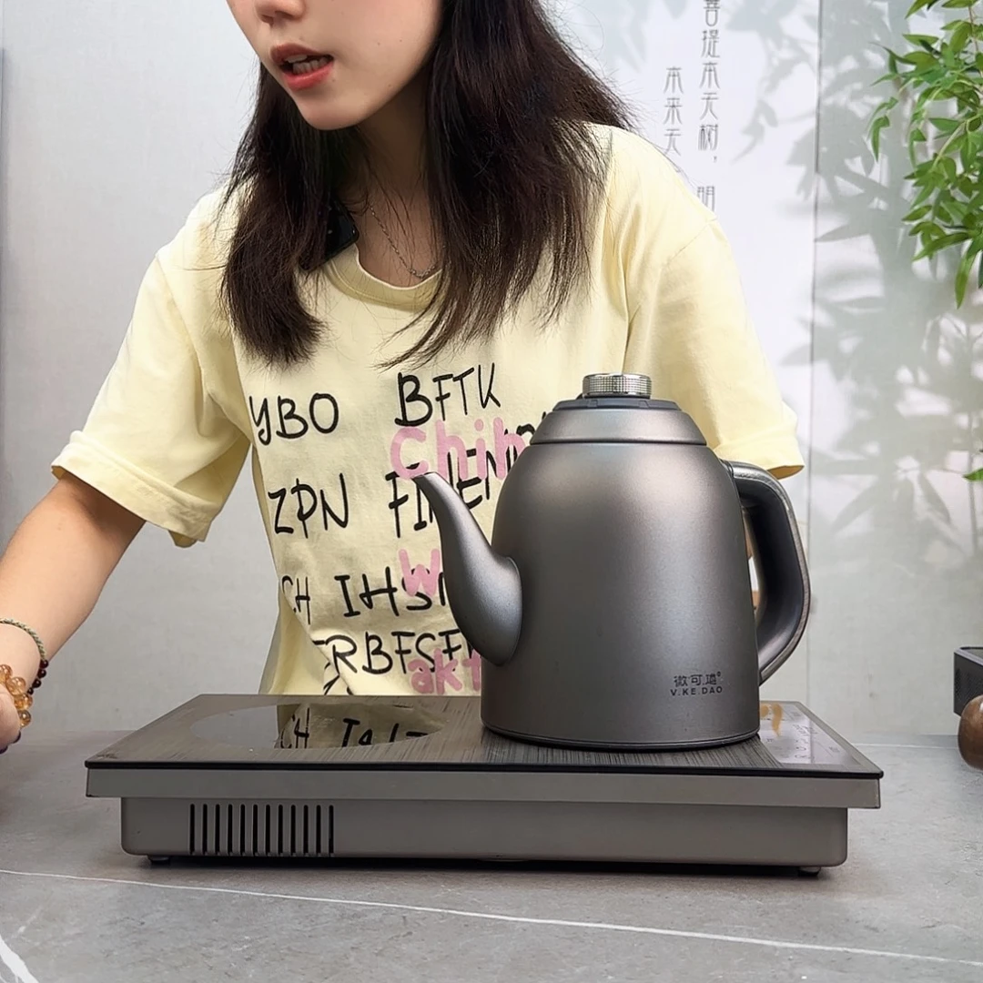 王***者微可道纯钛烧水壶家用