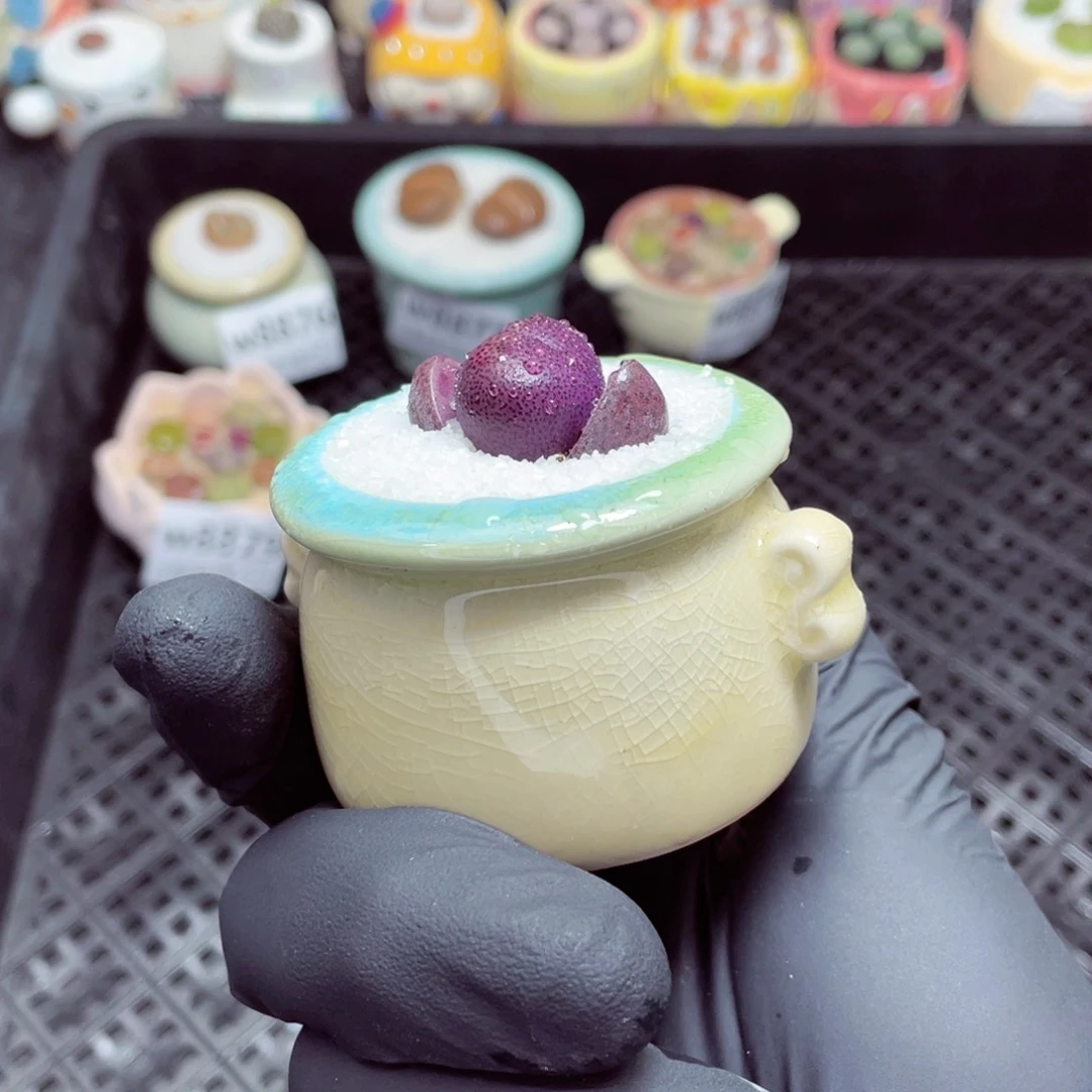 w8880--零下地区拍保温箱，-15度支持寄养