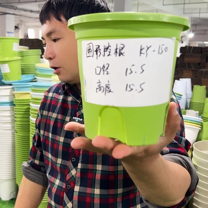 正品圆控口15高15混色10个无托