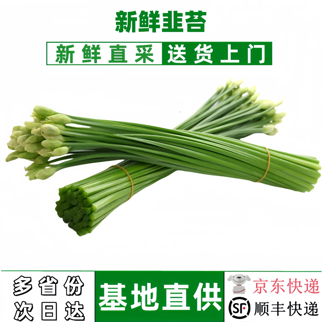 新鲜韭菜苔现摘韭菜花苔农家自种清脆鲜嫩时令蔬菜