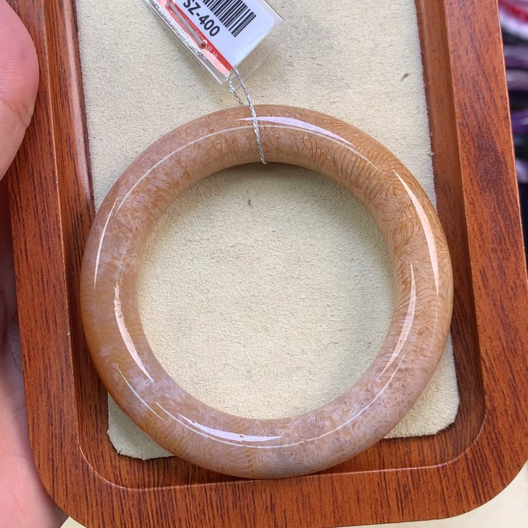 【闪购商品】颈饰未镶嵌硅化珊瑚（珊瑚玉）53号凤尾51.4圈