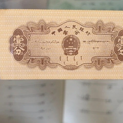 SE01c g h h j k k j h h h