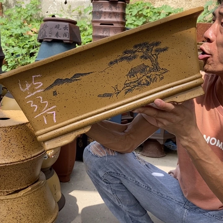 紫砂紫砂紫砂紫砂