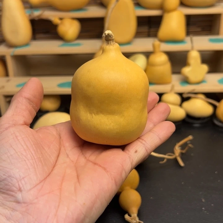 ?*.葫芦葫芦葫芦葫芦葫芦葫芦