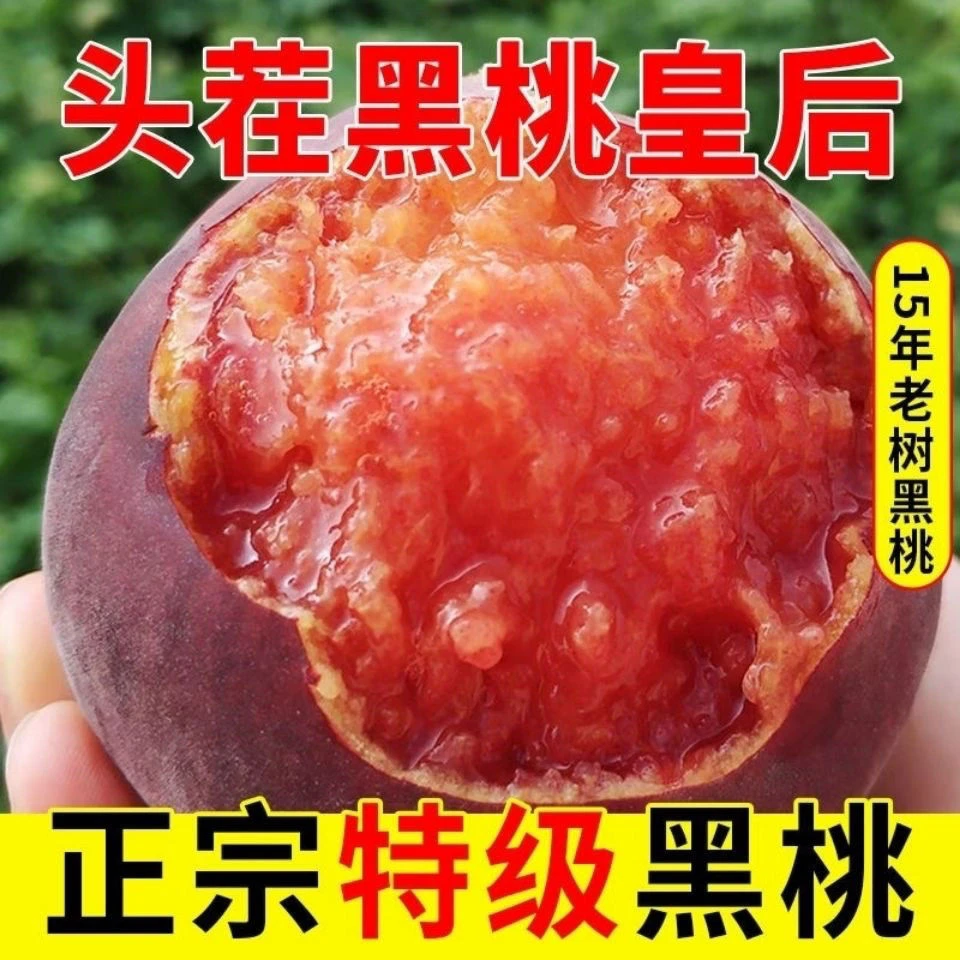 【顺丰包邮】正宗沂蒙山黑桃皇后新鲜现摘香甜爆汁3-5斤装果园直发