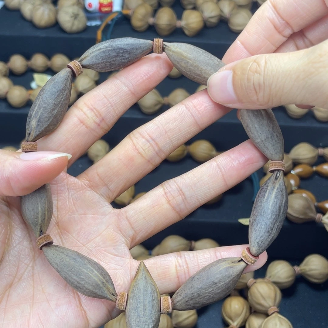 005橄榄核紫核素串1.3