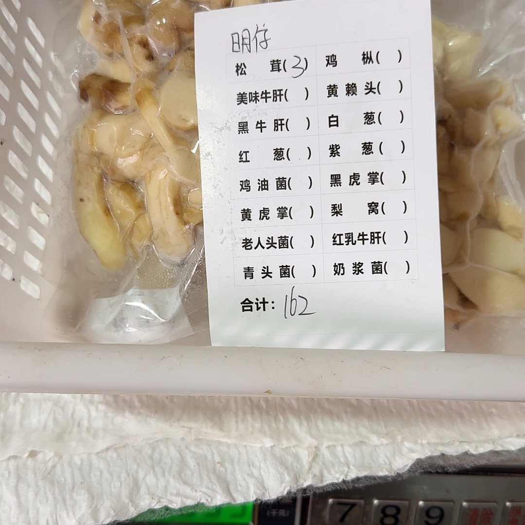 明***仔菌子中国大陆菌子