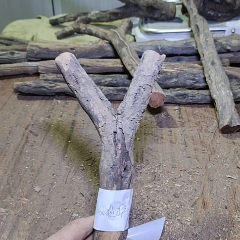 小***手火琉璃原杈，不保沉水，慎拍！