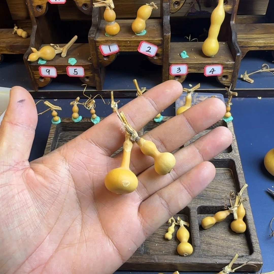 尹*我也是很喜欢这个节目的呢我们的综艺