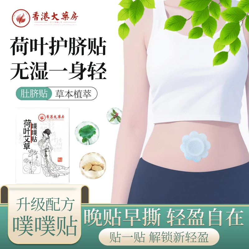【南怀瑾配方升级】荷叶艾草噗噗贴陈艾艾绒草本家用肚脐贴