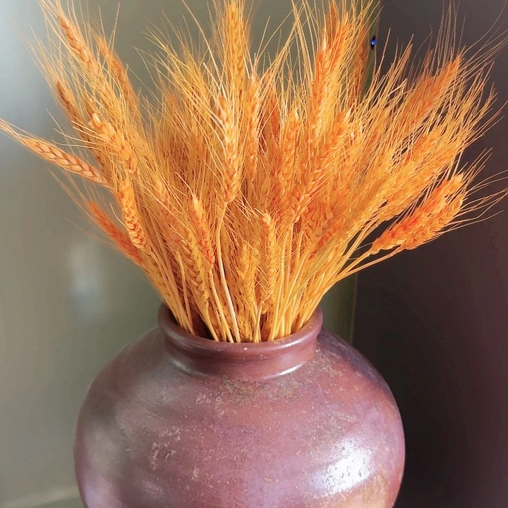 啊啊啊啊啊啊啊啊啊啊啊啊啊