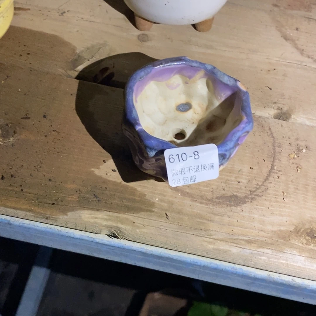 8号花盆内6高4福利