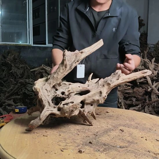 木材鱼缸 造景 水库 杜鹃根147