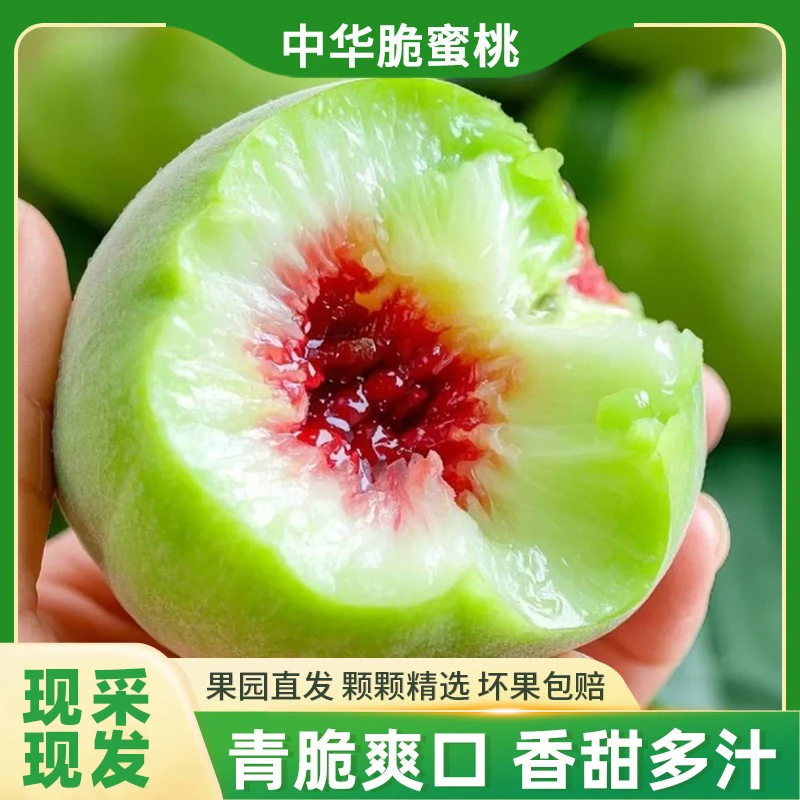 中华脆蜜桃新鲜孕妇水果脆甜多汁现摘现发水果现摘现发中秋礼品