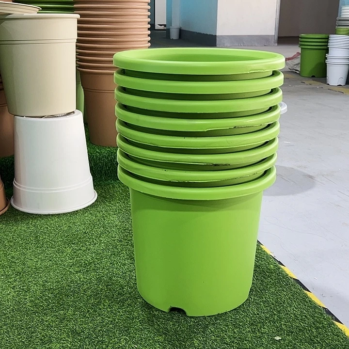 杨***院微瑕9号口46高40果绿8只无托