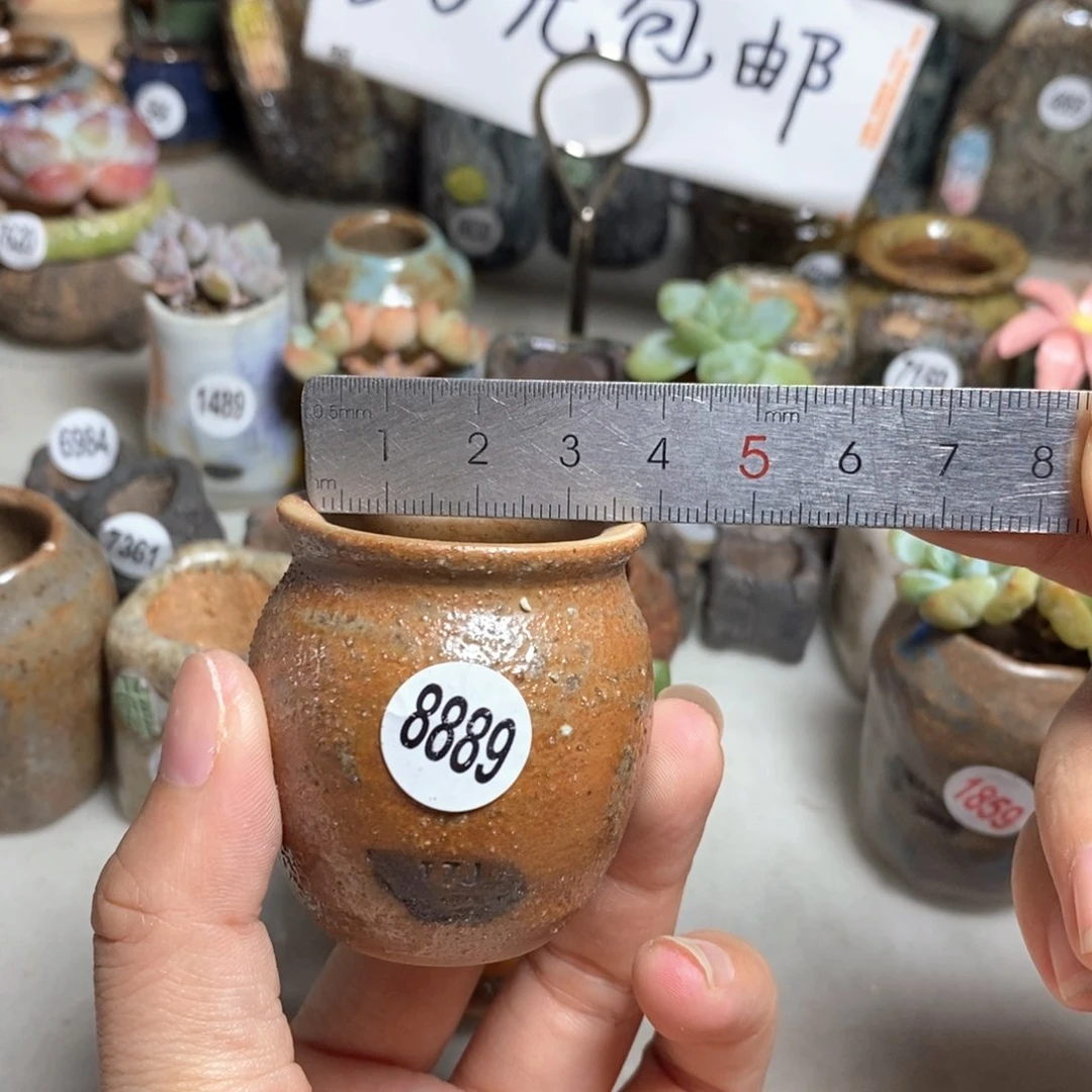 拍5送一个小礼物