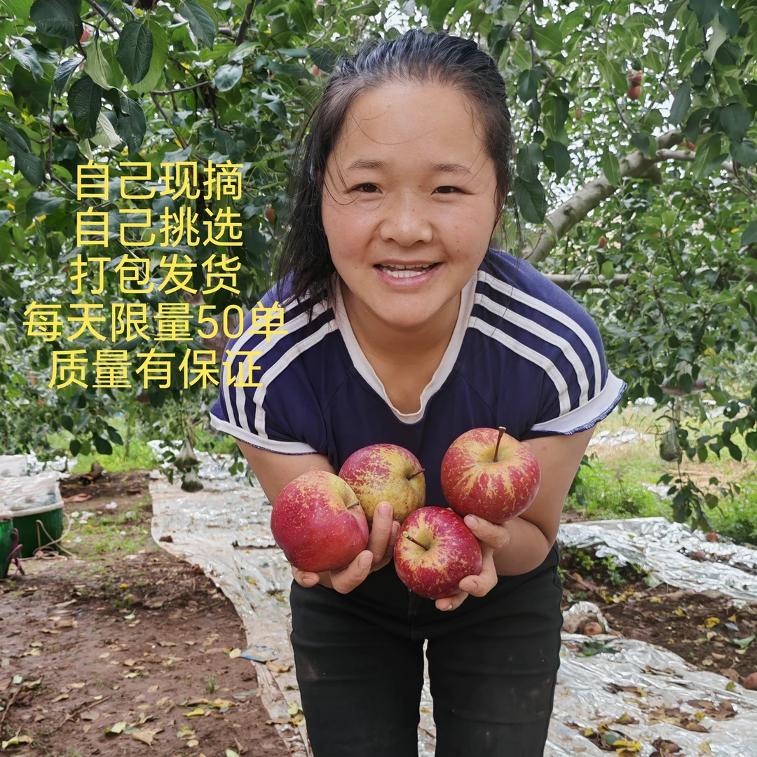 正宗云南昭通冰糖心丑苹果脆甜多汁当季现摘现发宝宝带皮就吃苹果