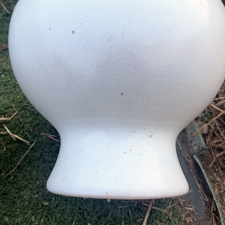 红陶口25高20福利价