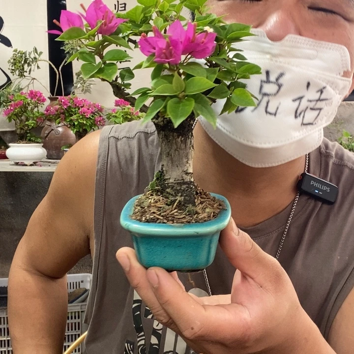 ****悠无花朵退款拉黑一物一拍143