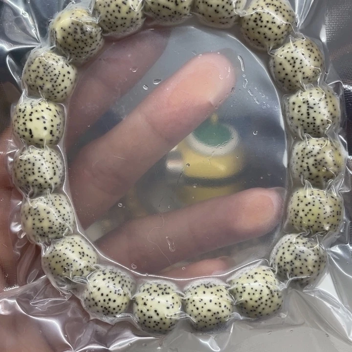 龙脊菩提吊坠13x12大尺寸