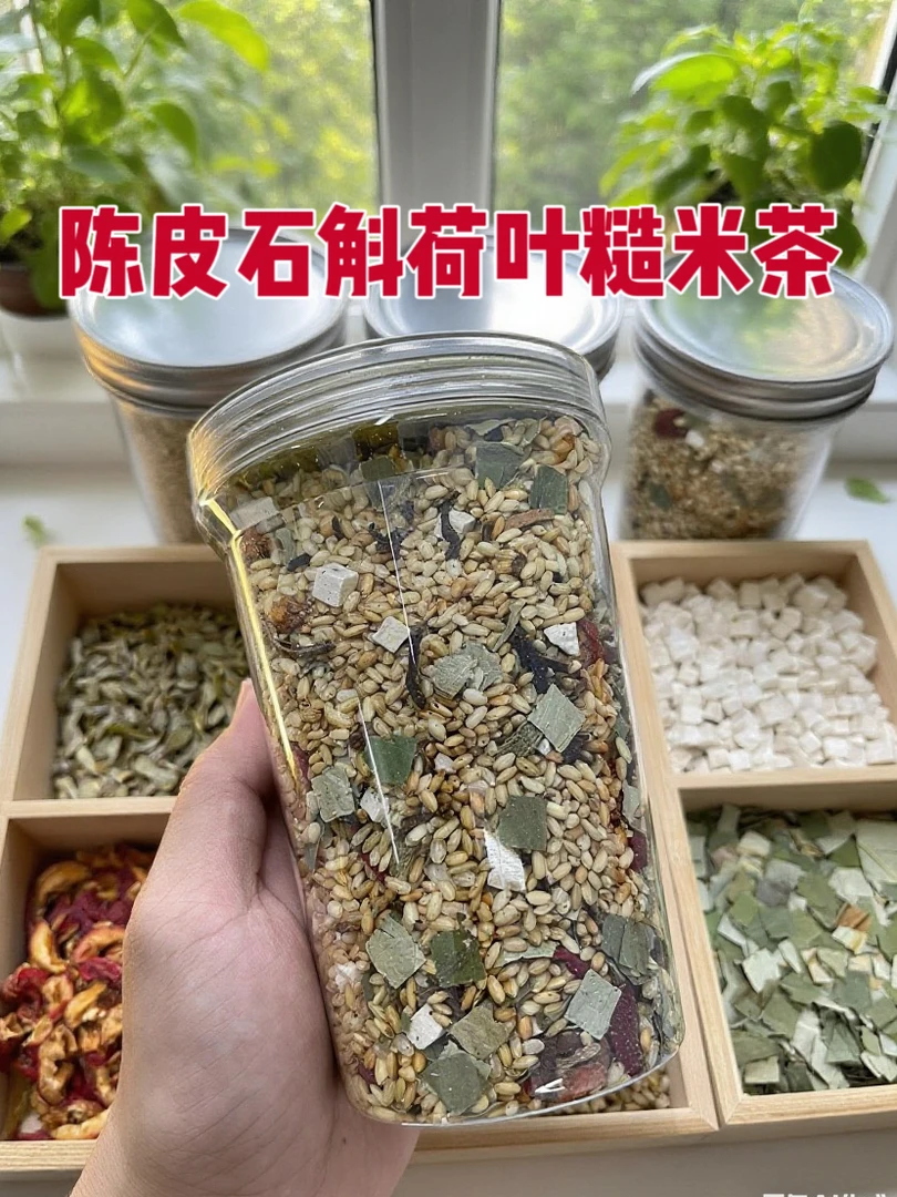 三伏天炒米茶泡水煮水喝荷叶陈皮姜米炒米非健脾祛湿开胃养生茶