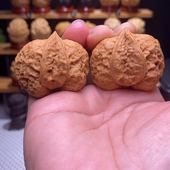 木质类云铁古龙生命24号41尺