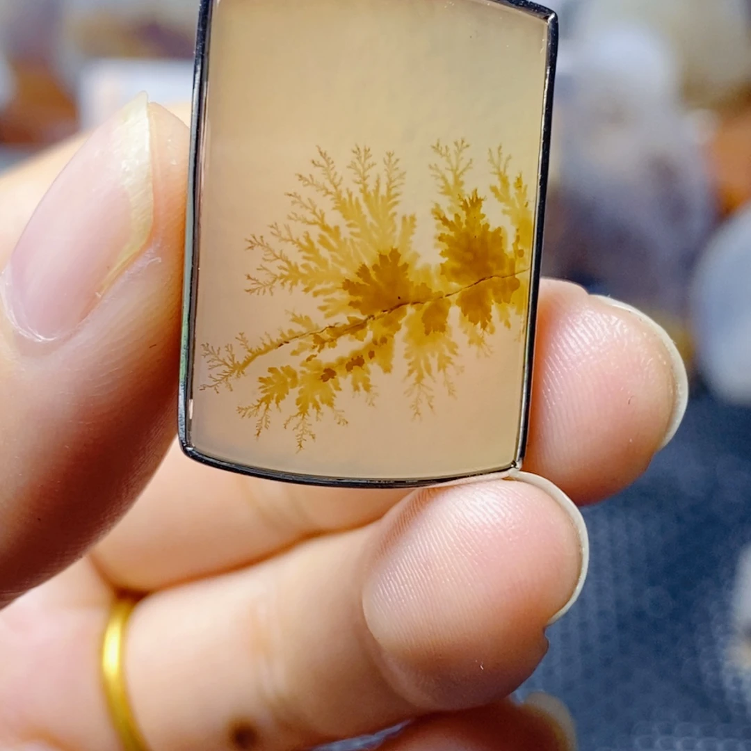 一***诺玛瑙/玉髓未镶嵌珠宝奇石