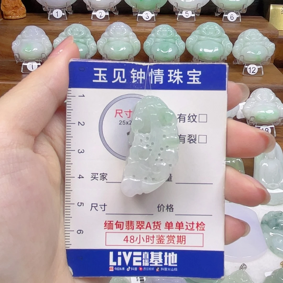 翡翠未镶嵌颈饰貔貅
