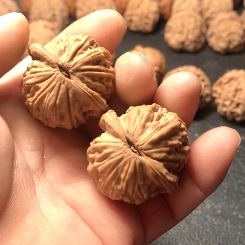 【闪购商品】大****5大红袍