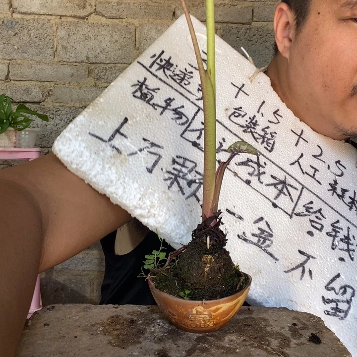 退款拉黑一物一拍16