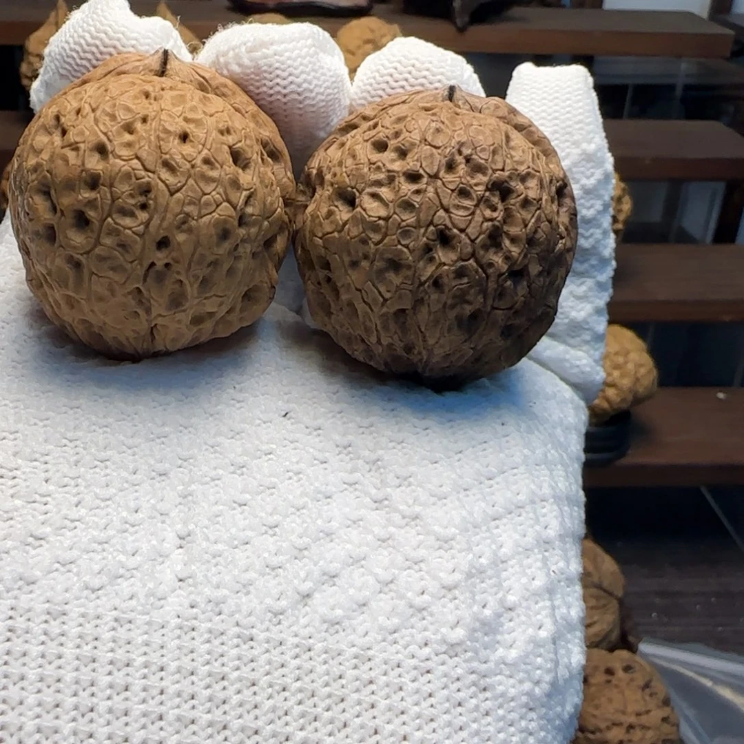 文玩核桃把件超肥玉玲珑