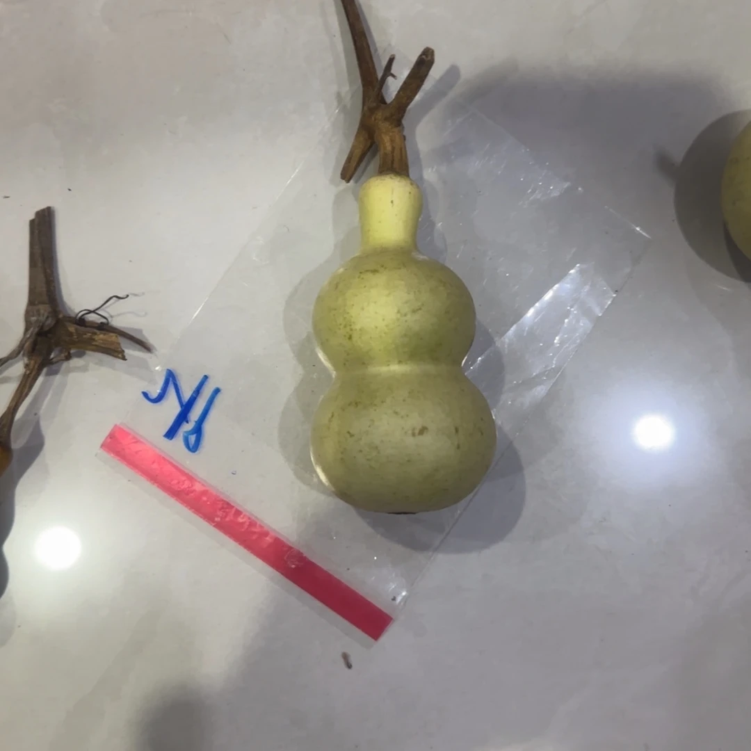 飞***.青皮不包成青皮不包成