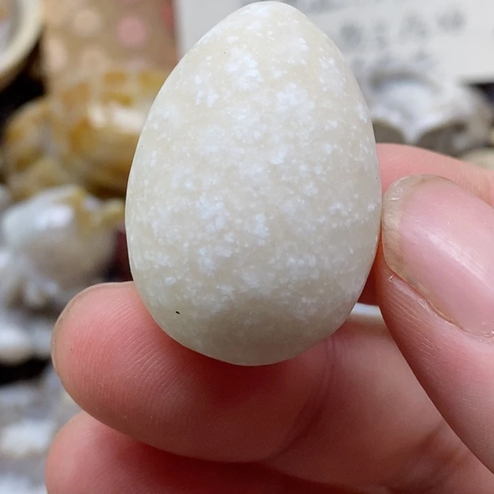 颈饰未镶嵌硅化珊瑚（珊瑚玉）哑光