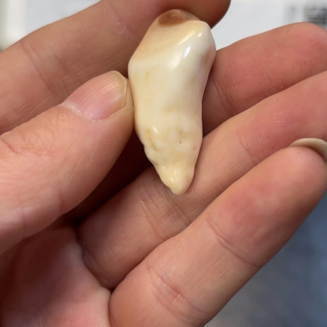 吊坠猛犸象牙猛犸配饰c76