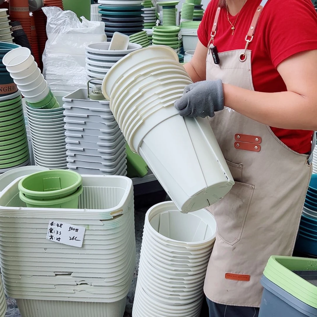 瑕疵青山盆5#米白色10个无托