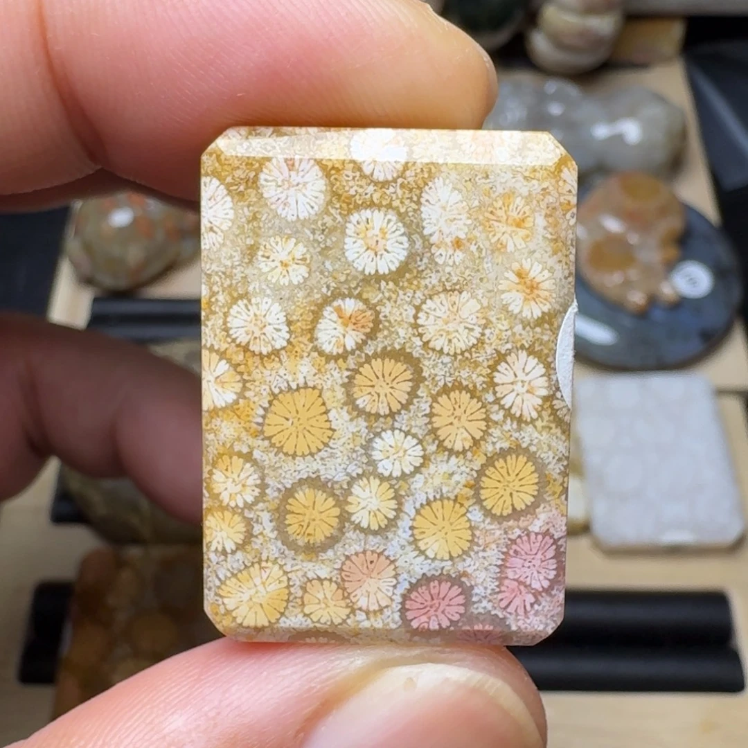 硅化玉未镶嵌纯天然色有机玉石保真色