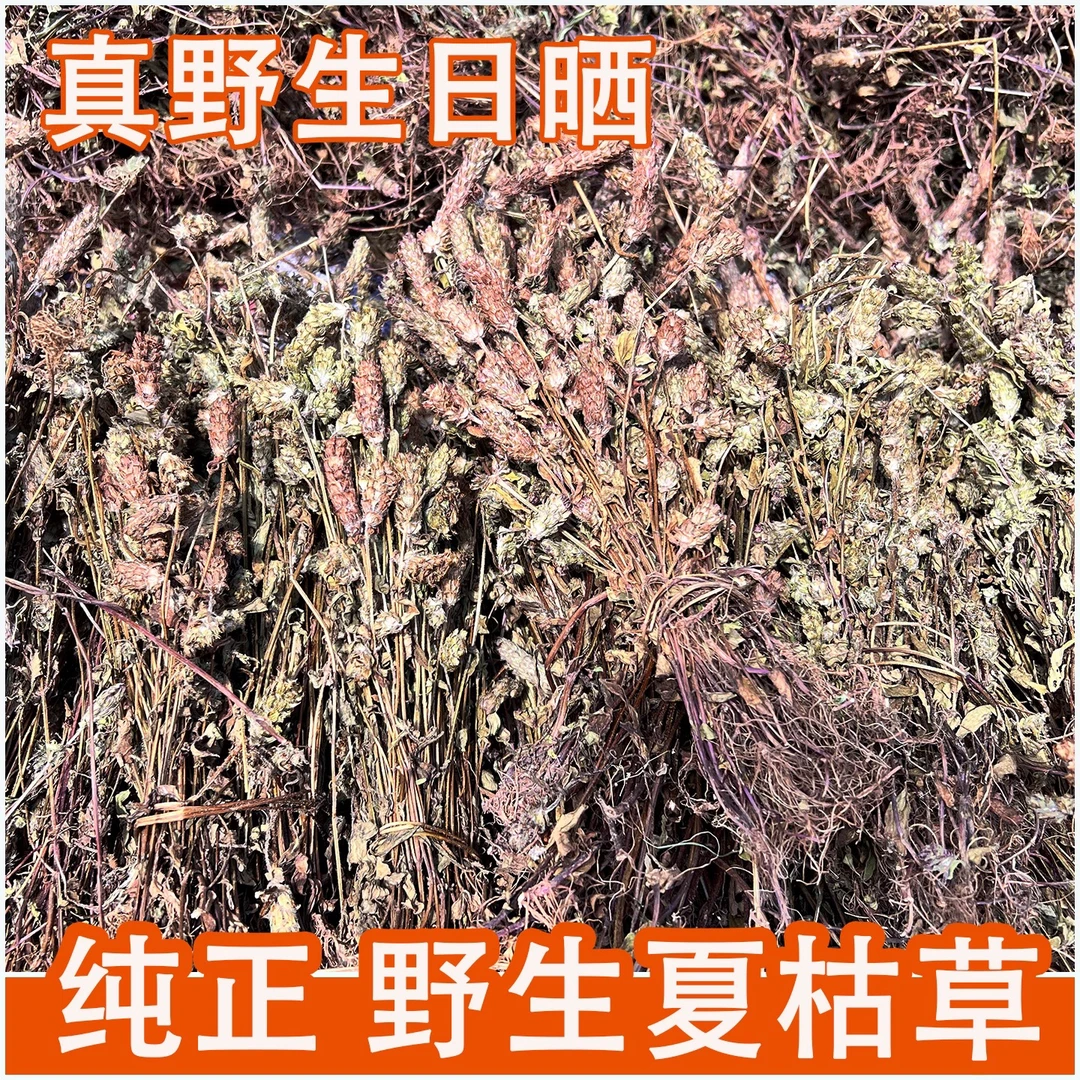 (夏枯草)野生白毛夏枯草整株球可泡茶的适合泡水饮用