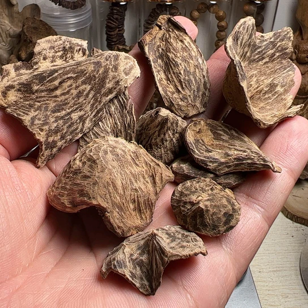 沉香碎屑沉香斯里兰卡耳朵料10克