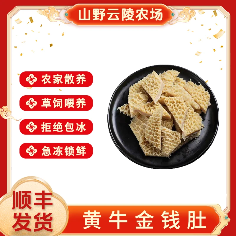 山野云陵农场草饲散养三年黄牛金钱肚1斤原生态新鲜现杀品质原切