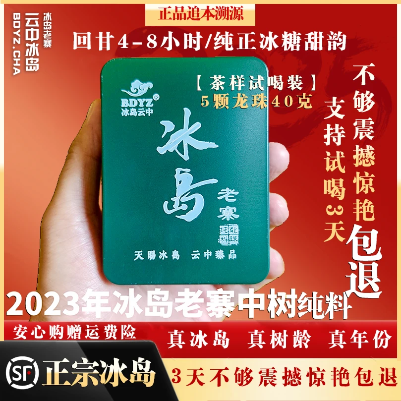 【阿季】2023冰岛老寨纯料中树龙珠晒青工艺普洱茶秋5颗龙珠共40克