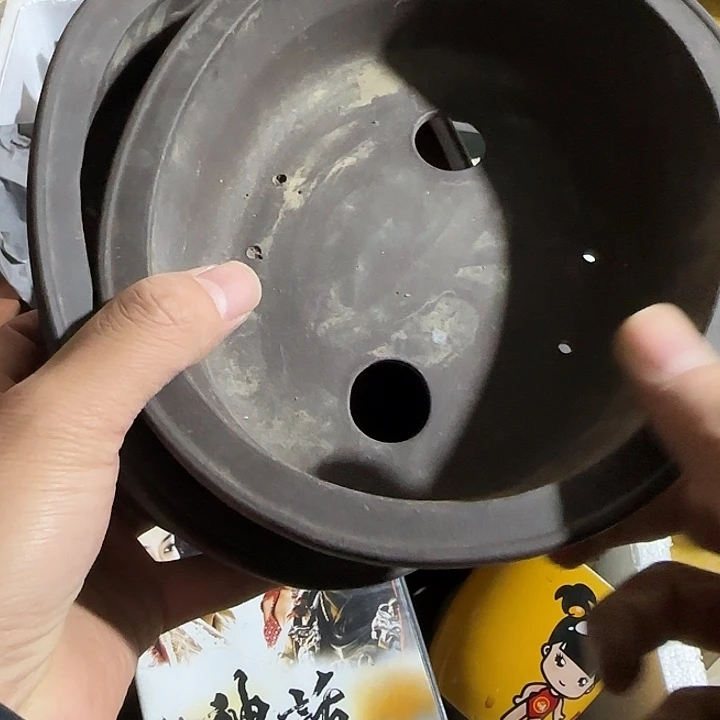 南***方发回家结局回家斤斤计较