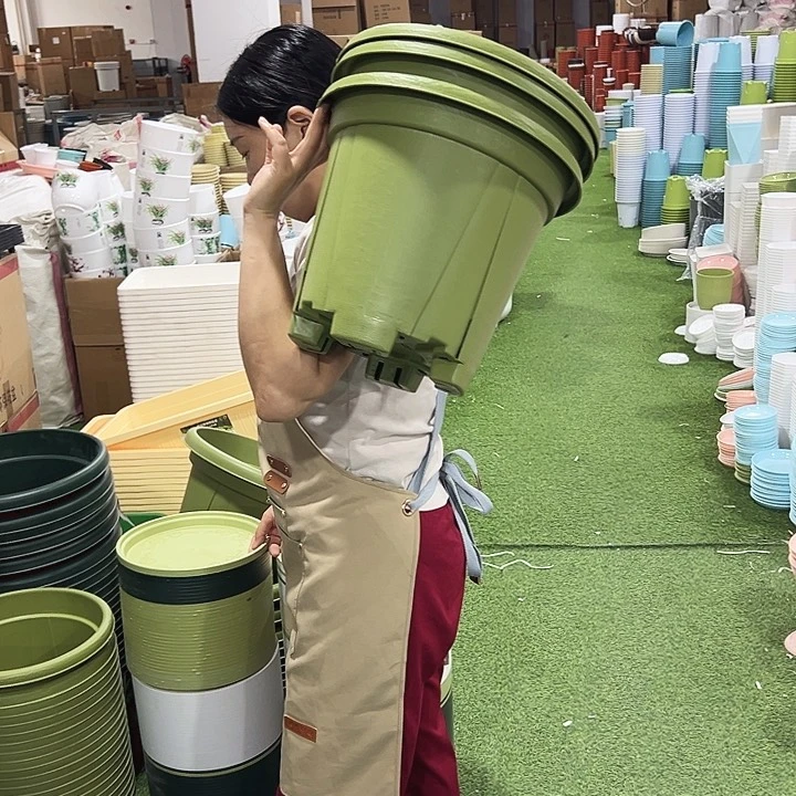 青山盆口32高28果绿色无托3只