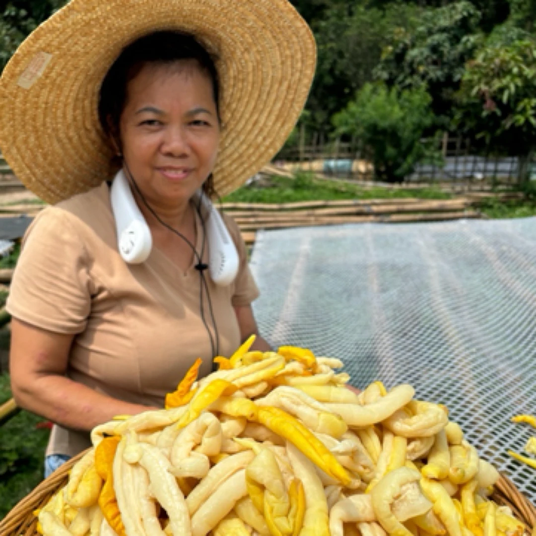 《顺丰包邮》广西博白酸脆下粥下饭黄瓜皮，没有售后