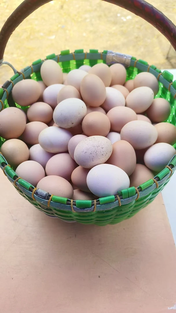 50枚粉壳马陵山散养土鸡蛋4.5斤以上