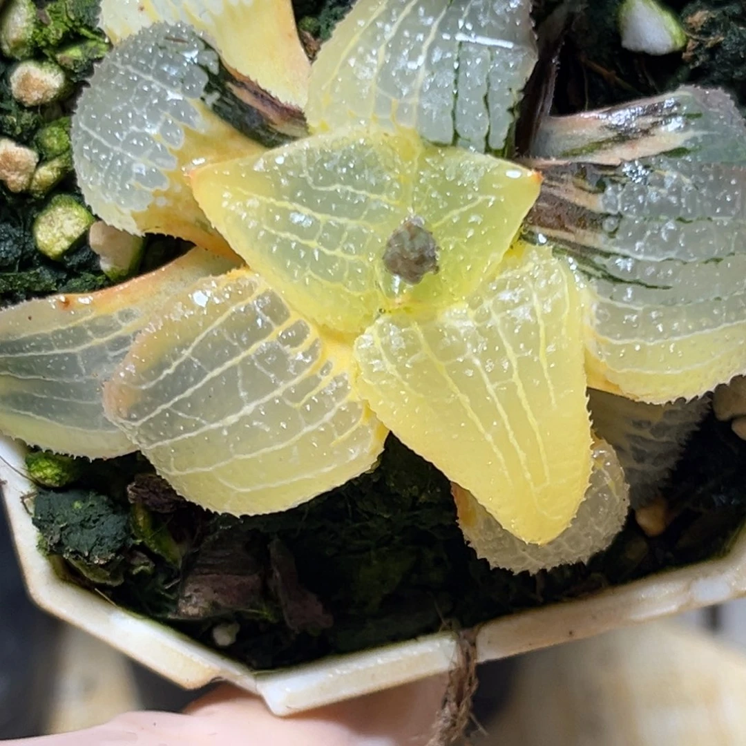 恭喜发财大吉大利0319